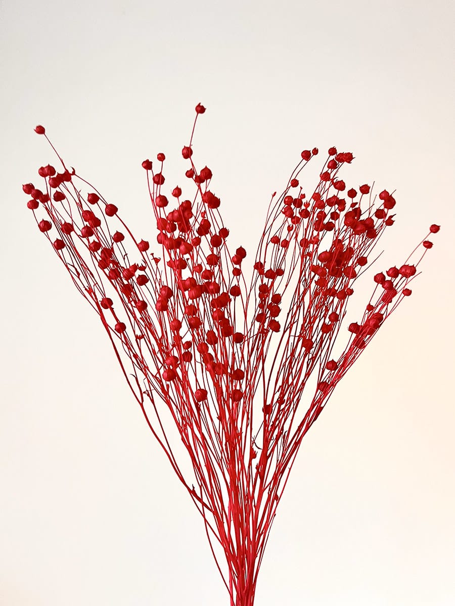 Len Suszony Czerwony - obrazek 4