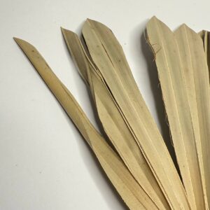 Suszony Liść Palmy SUN