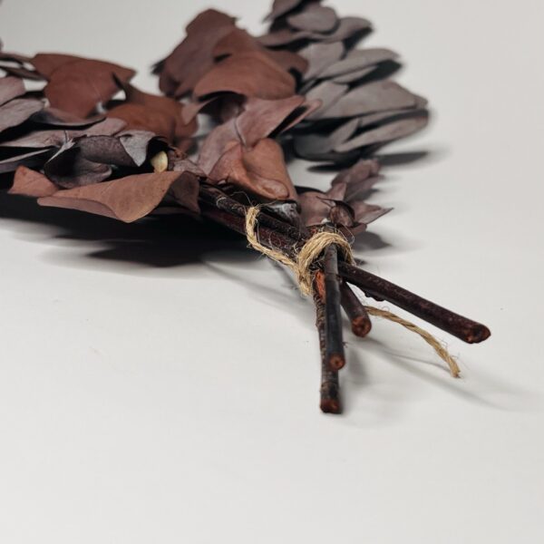 Eukaliptus Stabilizowany (Bordowy)