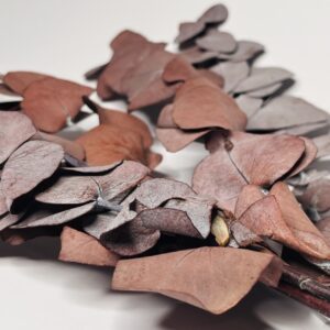 Eukaliptus Stabilizowany (Bordowy)