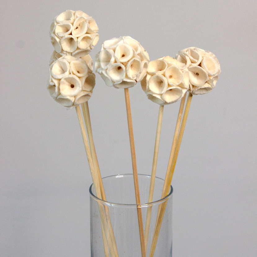 Kwiaty Shola - obrazek 4