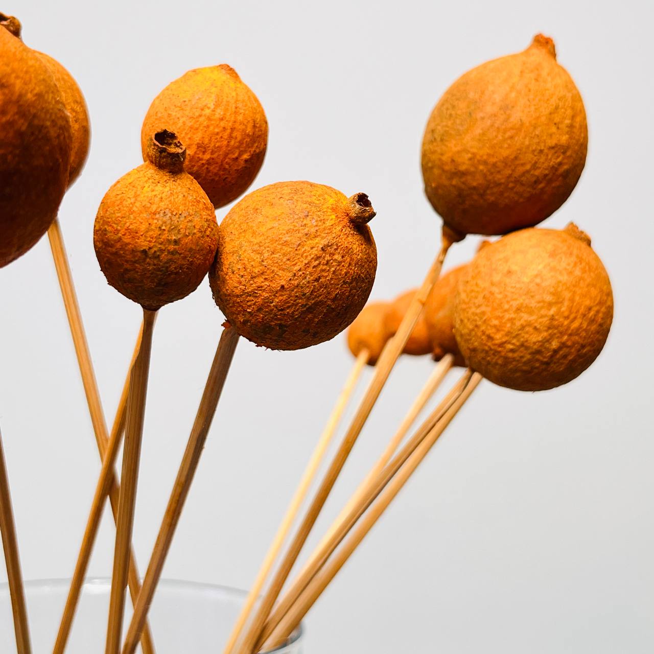 Granat Suszony Pomarańczowy - obrazek 2