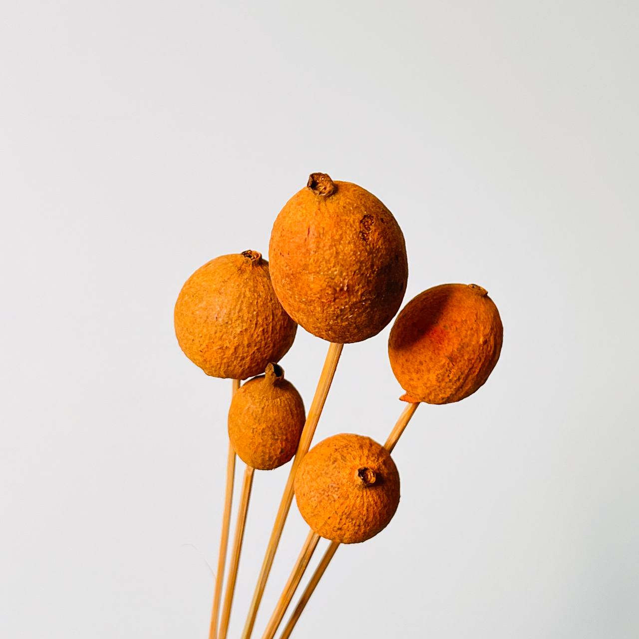 Granat Suszony Pomarańczowy