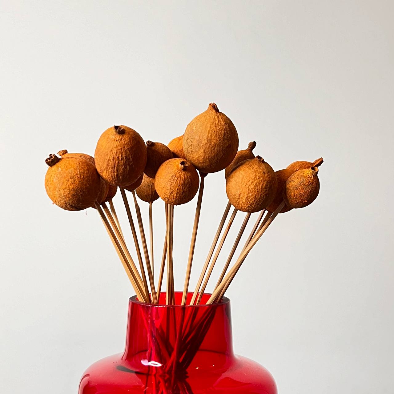 Granat Suszony Pomarańczowy - obrazek 3