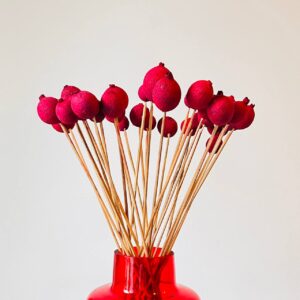 Granat Suszony Czerwony - obrazek 2