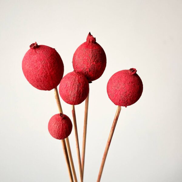 granat suszony dekoracja Granat Suszony Czerwony