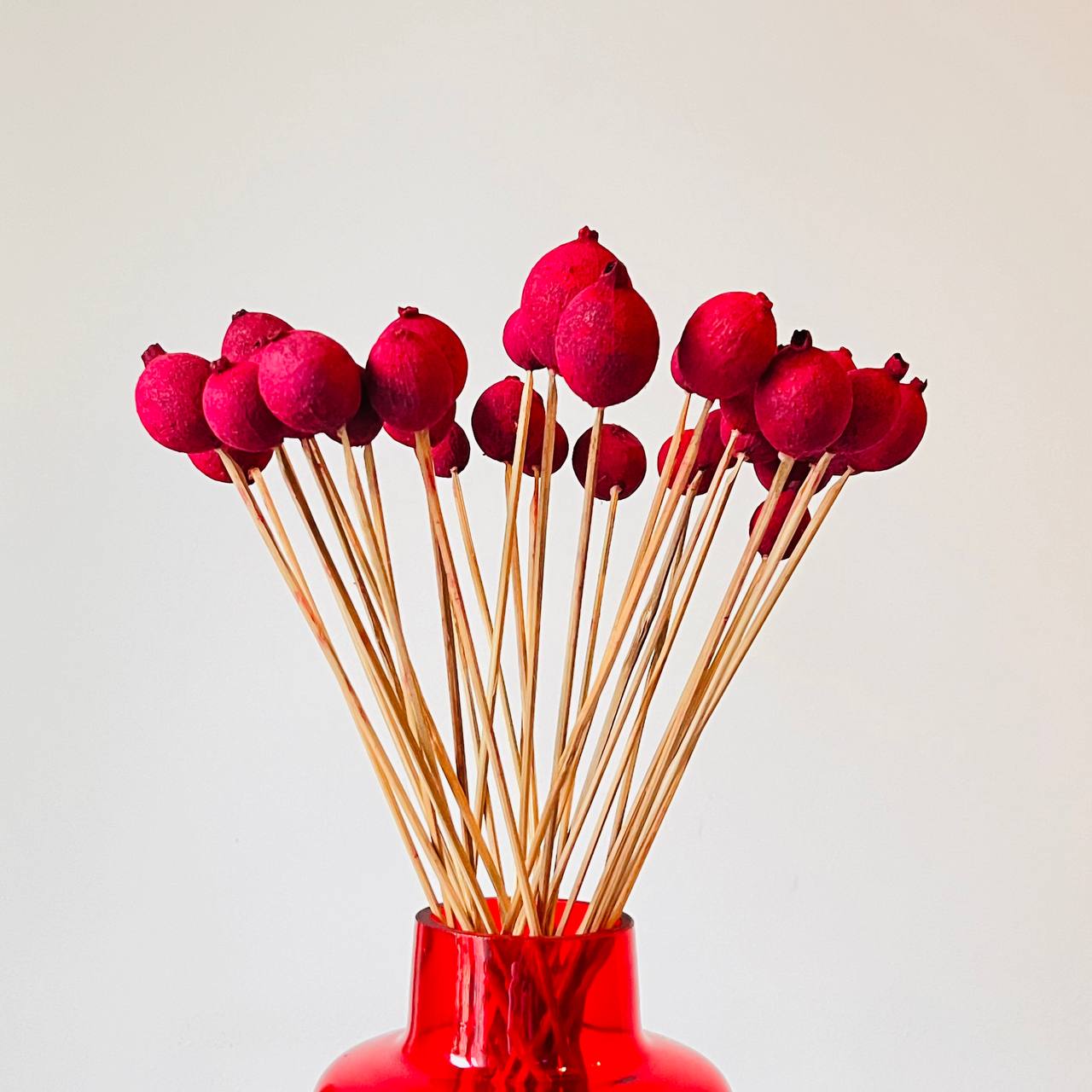 Granat Suszony Czerwony - obrazek 2