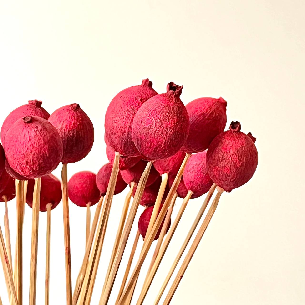 Granat Suszony Czerwony - obrazek 3