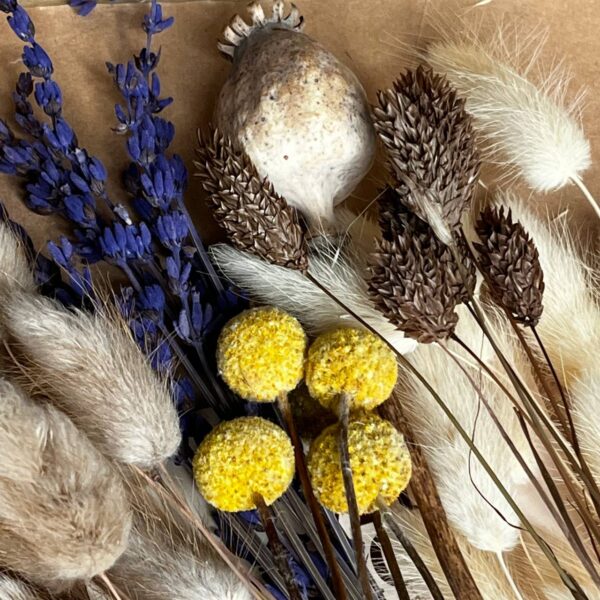 Zestaw Suszonych Roślin – Dekoracja, Wianek, Prezent, Bukiet DIY