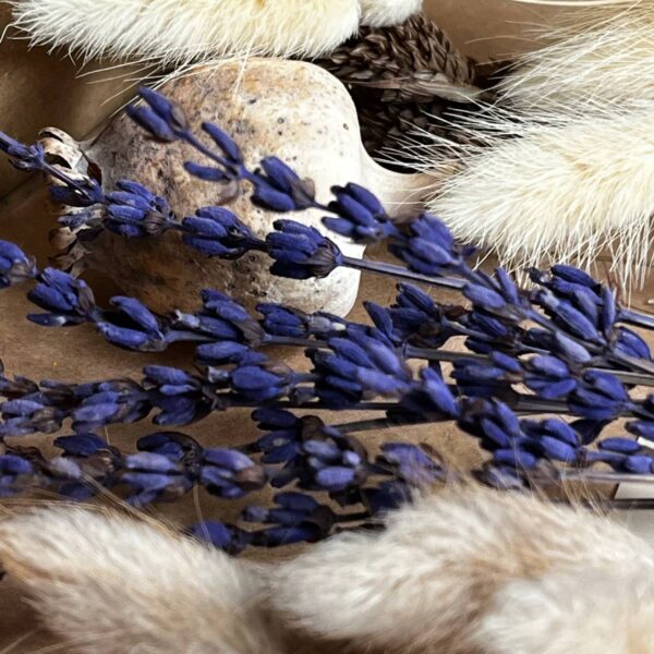 Zestaw Suszonych Roślin – Dekoracja, Wianek, Prezent, Bukiet DIY