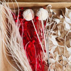 Zestaw Suszonych Roślin – Dekoracja, Wianek, Prezent, Bukiet DIY