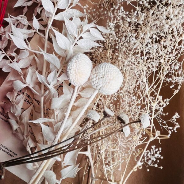Zestaw Suszonych Roślin – Dekoracja, Wianek, Prezent, Bukiet DIY