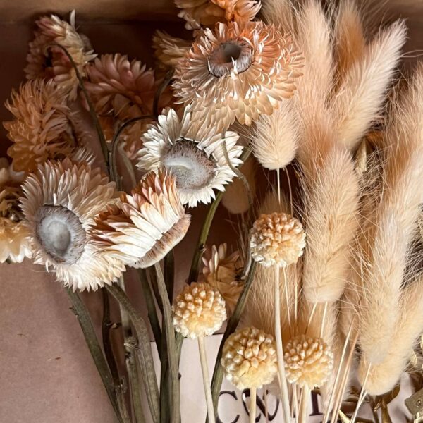 Zestaw Suszonych Roślin – Dekoracja, Wianek, Prezent, Bukiet DIY