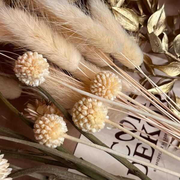 Zestaw Suszonych Roślin – Dekoracja, Wianek, Prezent, Bukiet DIY