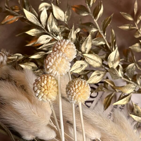 Zestaw Suszonych Roślin – Dekoracja, Wianek, Prezent, Bukiet DIY