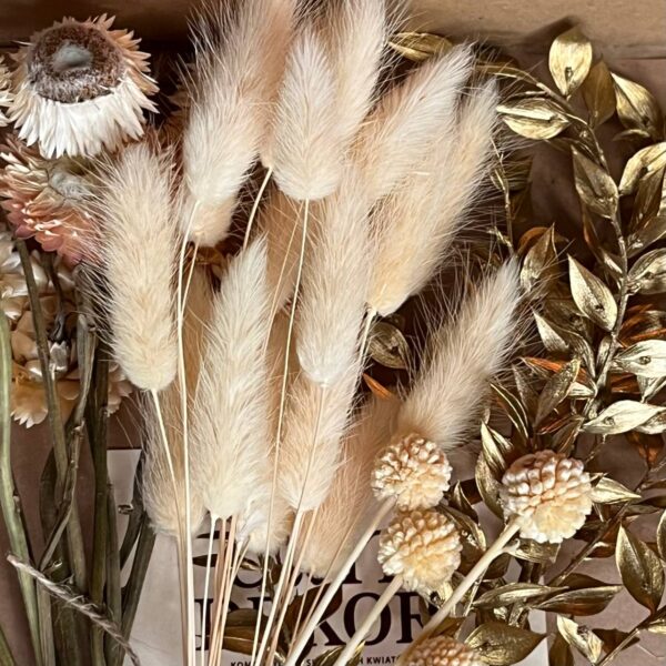 Zestaw Suszonych Roślin – Dekoracja, Wianek, Prezent, Bukiet DIY