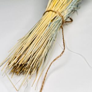 trawa stipa