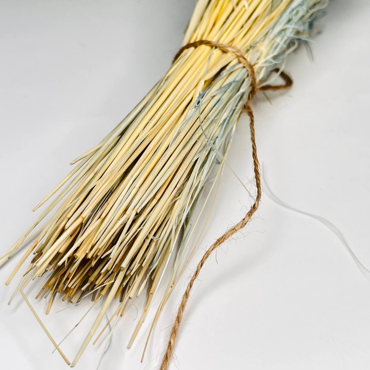 trawa stipa