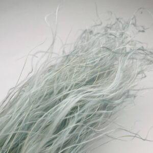 trawa stipa
