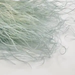 trawa stipa