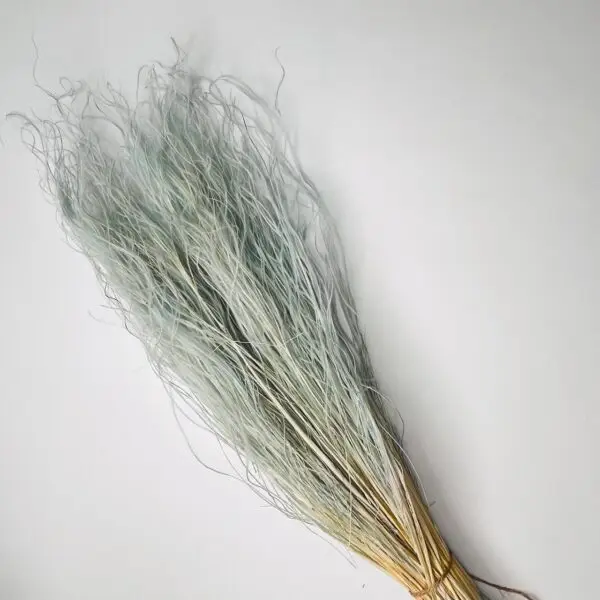 trawa stipa