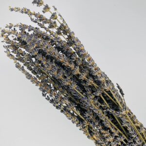 lawenda suszona