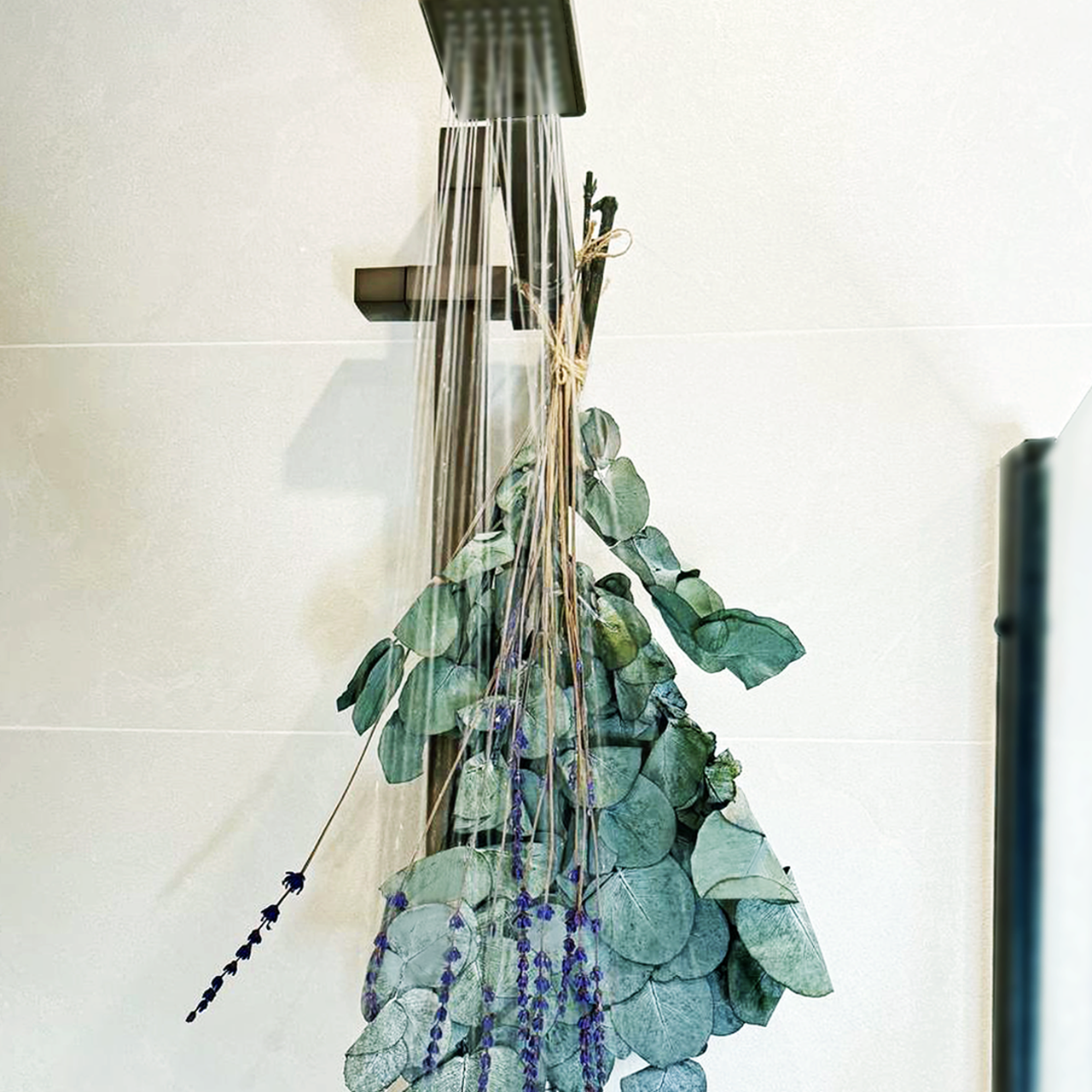 Eukaliptus i lawenda pod prysznic