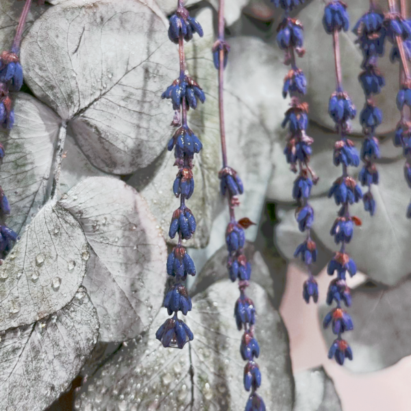 Eukaliptus i lawenda pod prysznic