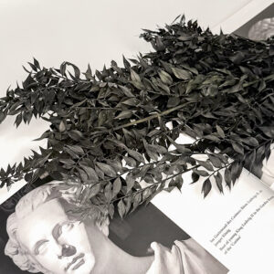 Ruskus Stabilizowany