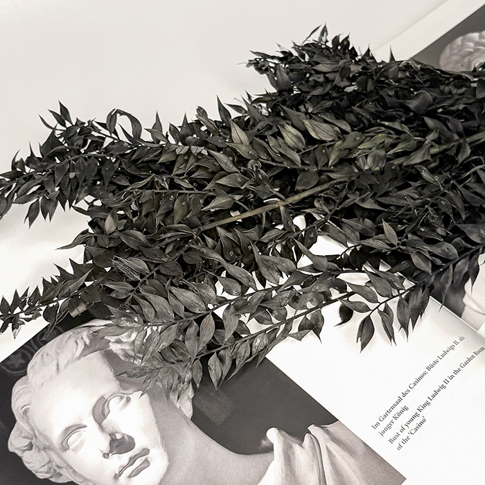 Ruskus Stabilizowany