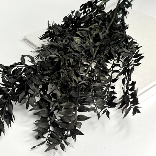 Ruskus Stabilizowany