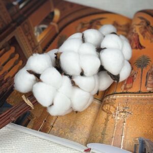Bawełna Suszona Biała