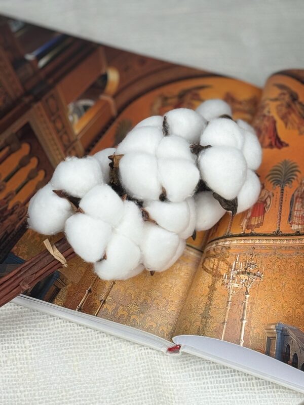 Bawełna Suszona Biała