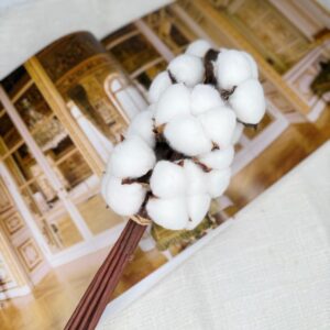 Bawełna Suszona Biała