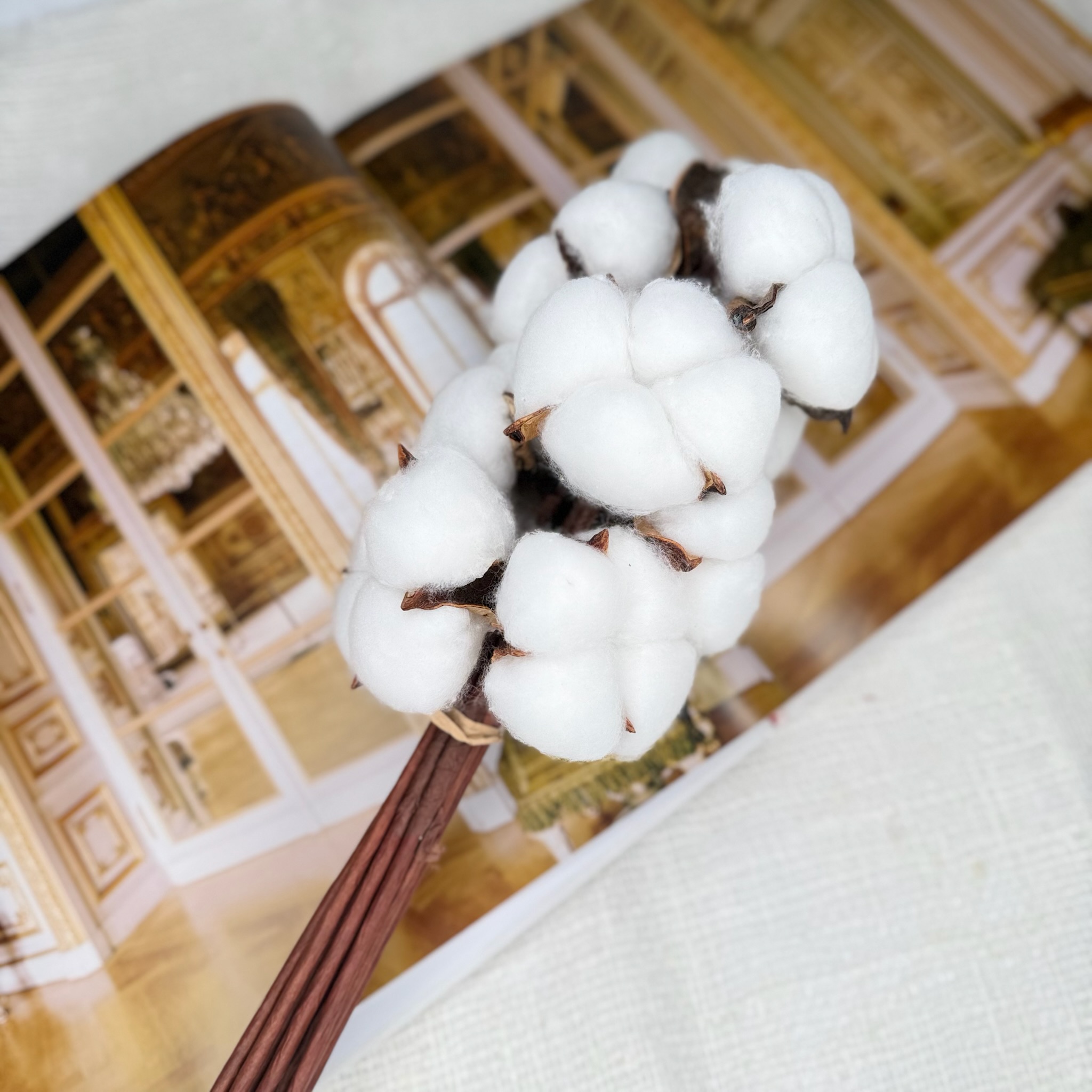 Bawełna Suszona Biała