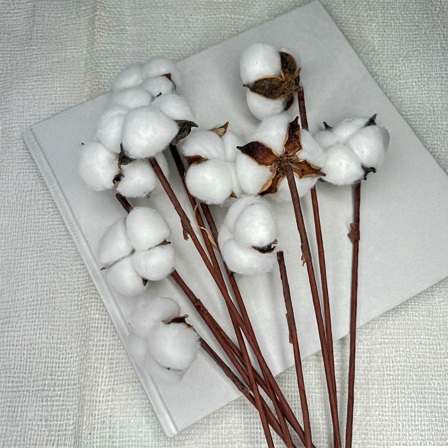 Bawełna Suszona Biała